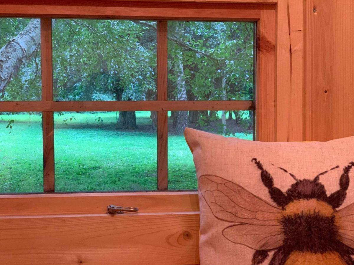 Starry Meadow & Rescued Animal Experiences Villa Горад Грэйт Ярмут Екстериор снимка
