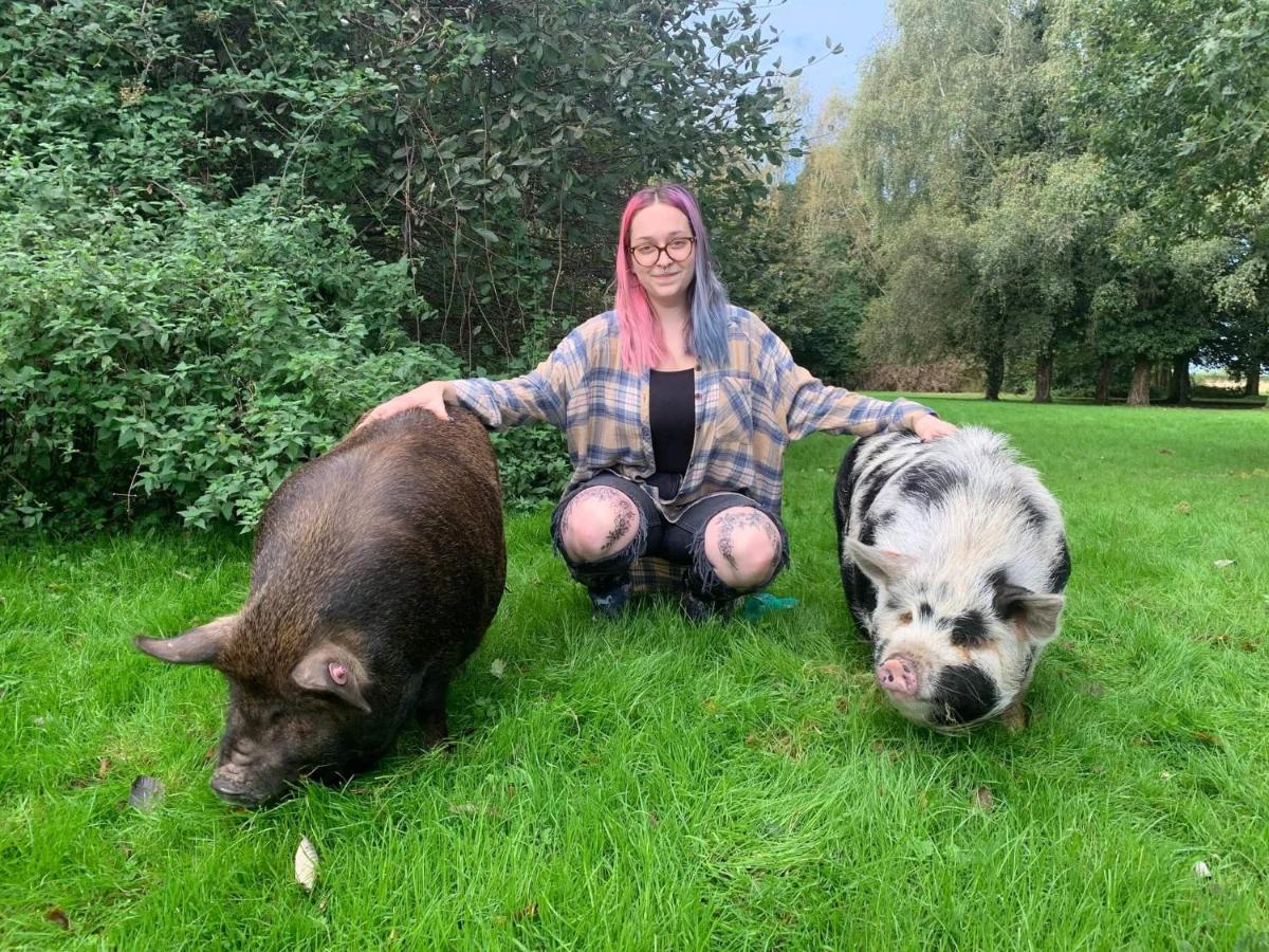 Starry Meadow & Rescued Animal Experiences Villa Горад Грэйт Ярмут Екстериор снимка