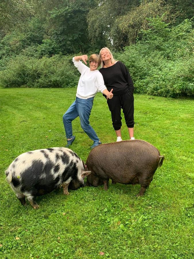 Starry Meadow & Rescued Animal Experiences Villa Горад Грэйт Ярмут Екстериор снимка