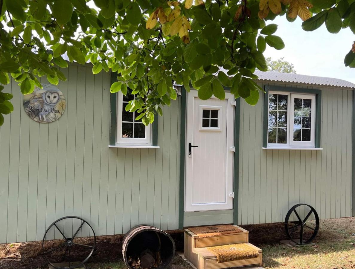 Starry Meadow & Rescued Animal Experiences Villa Горад Грэйт Ярмут Стая снимка
