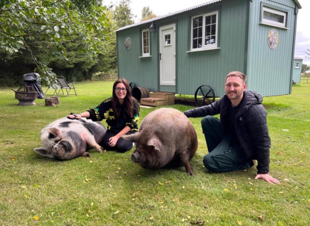 Starry Meadow & Rescued Animal Experiences Villa Горад Грэйт Ярмут Екстериор снимка
